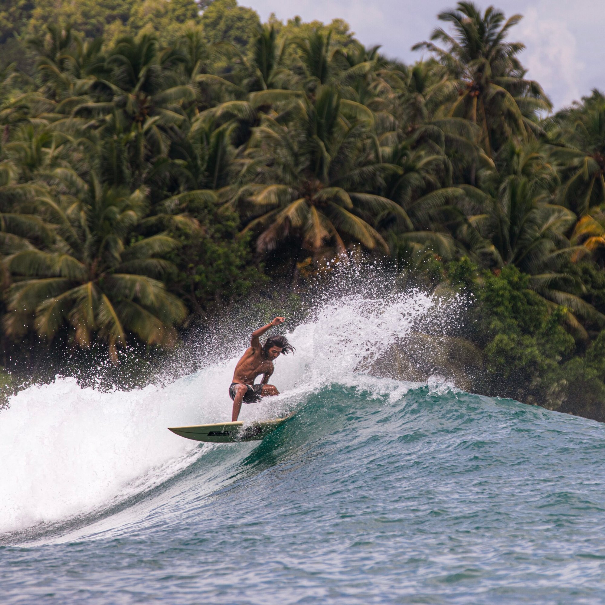 Aleikoat Surfcamp Mentawai - property view