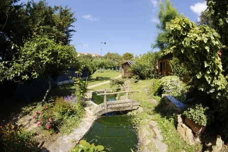 Biosurfcamp - surf instruction