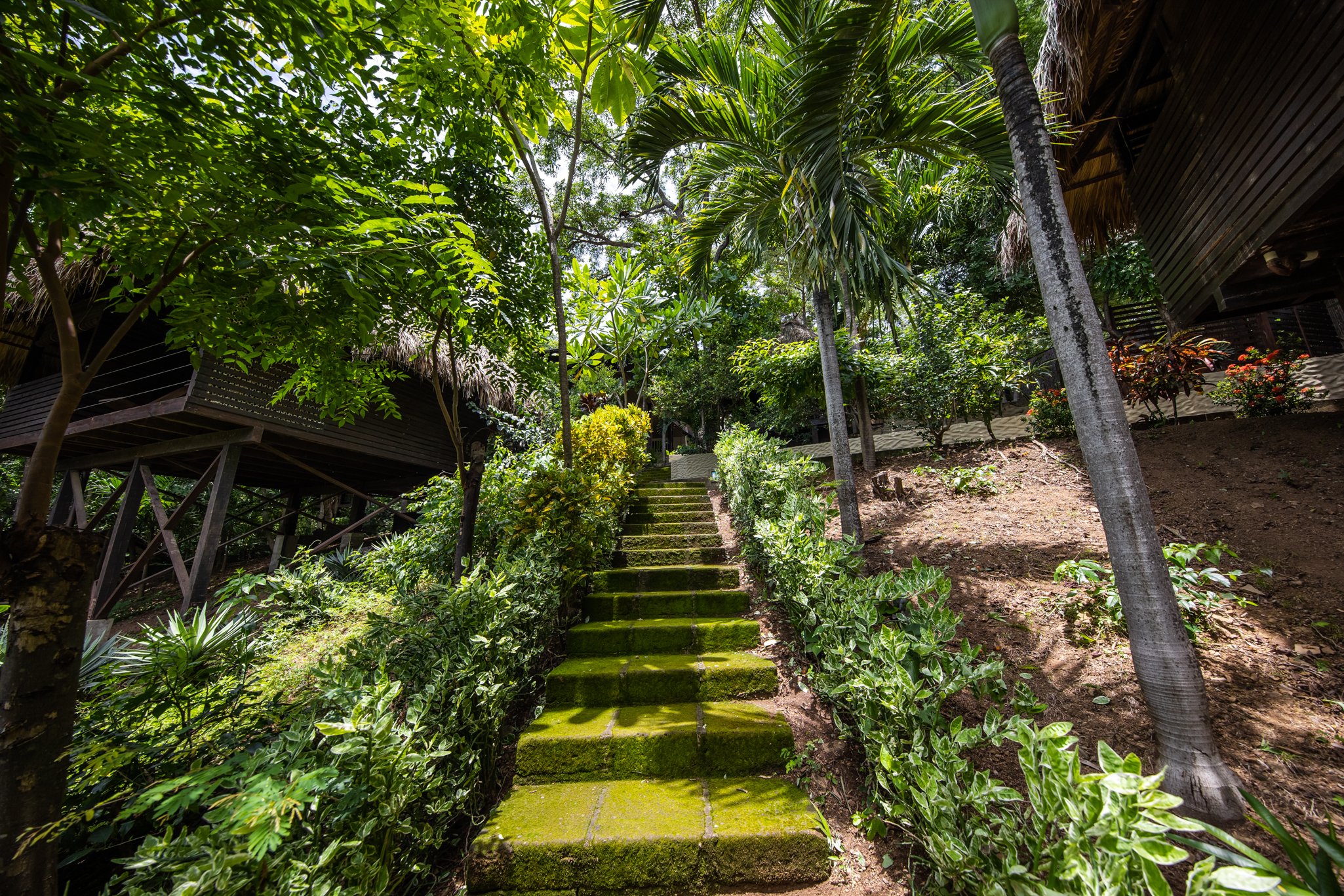 Buena Vista Surf Club - beachfront location