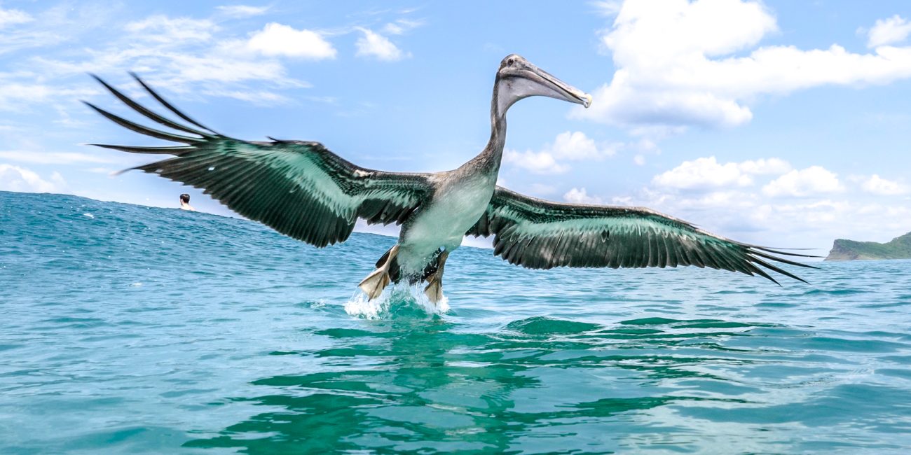 Colorado Surf and Stay - surf instruction