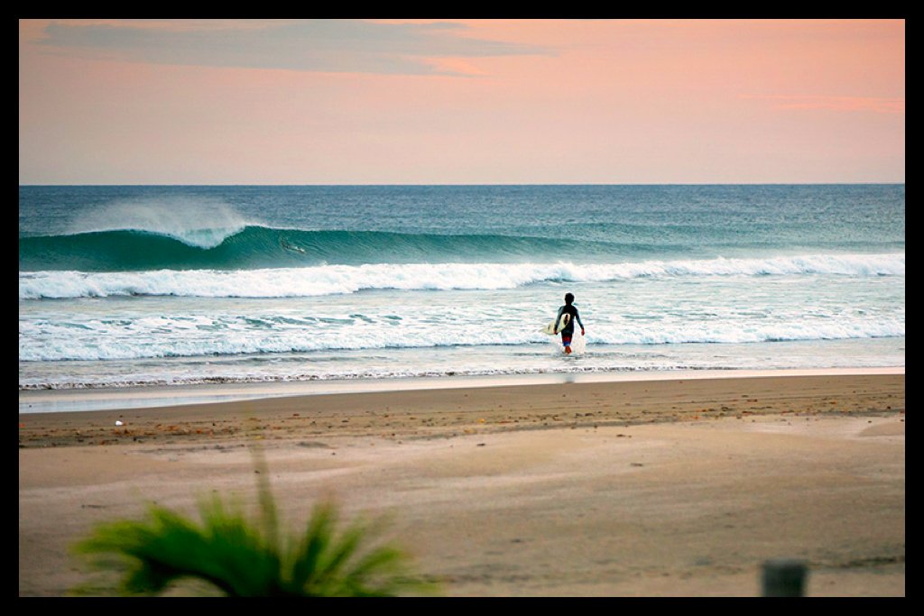 Dale Dagger Surf Lodge