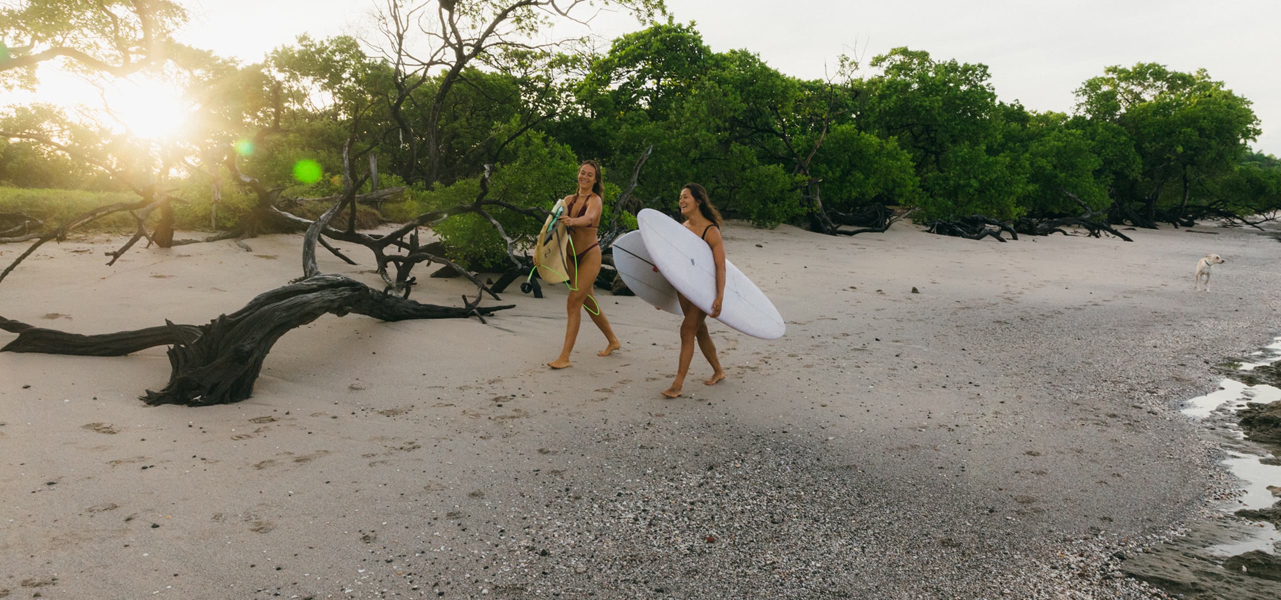 Dream Surf House exterior in Playa Avellanas