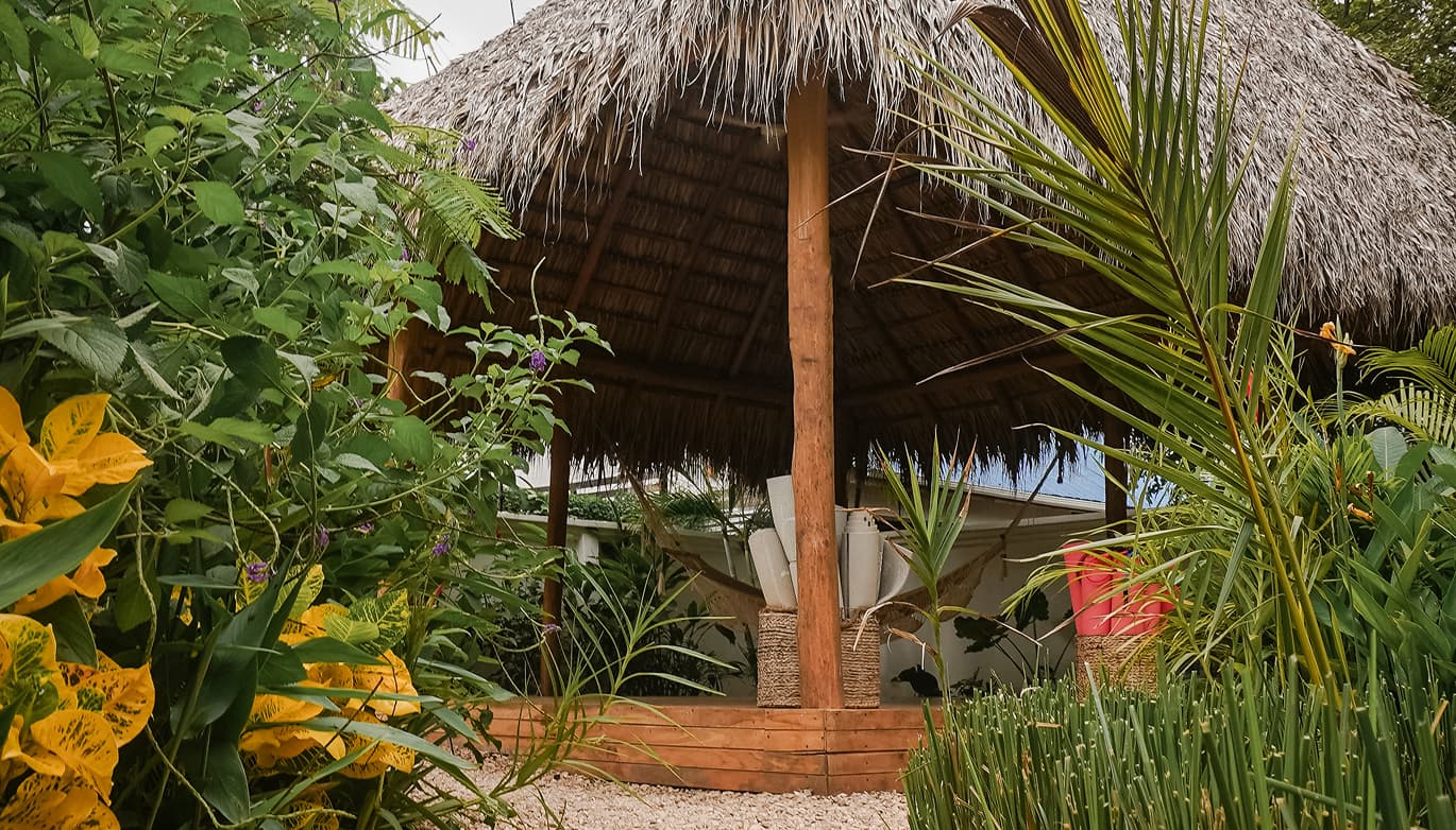 Dream Surf House Avellanas - surf instruction