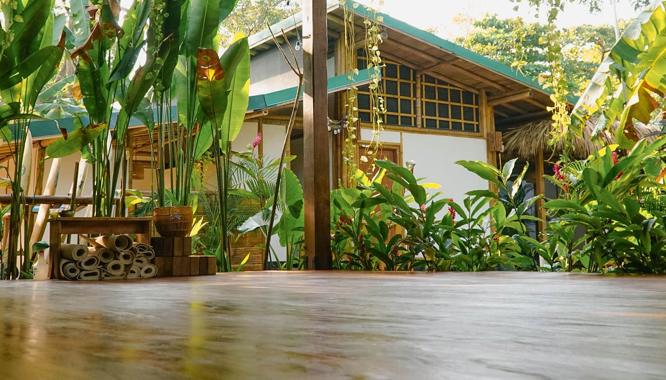 Dream Surf House Santa Teresa - surf instruction