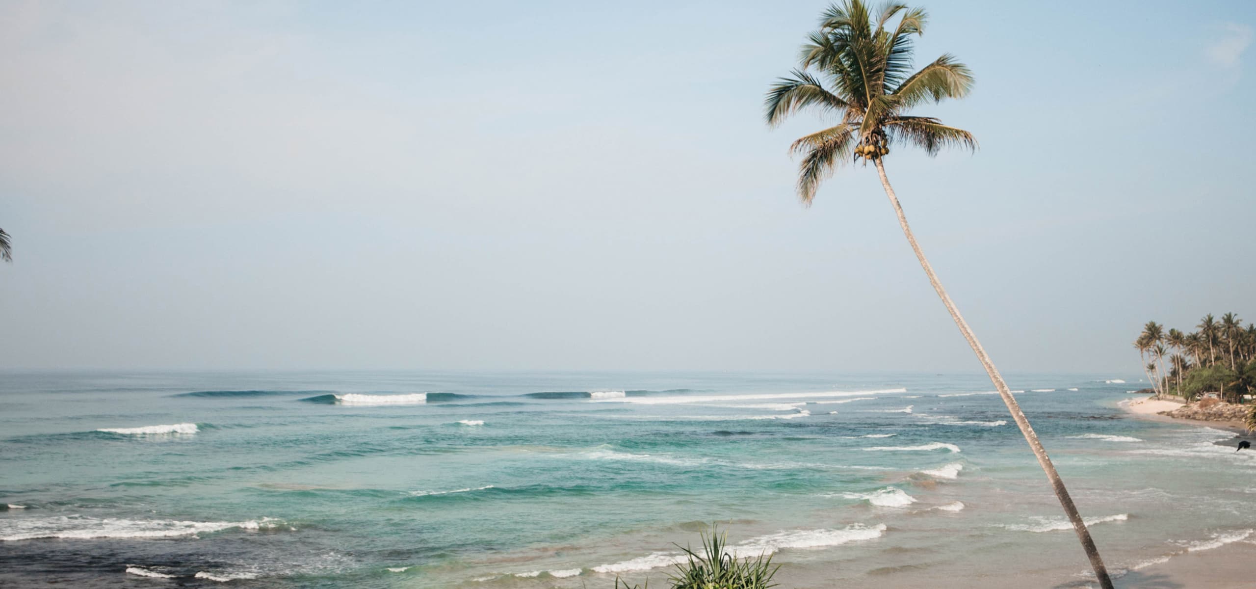 Dreamsea Surf Camp Ahangama