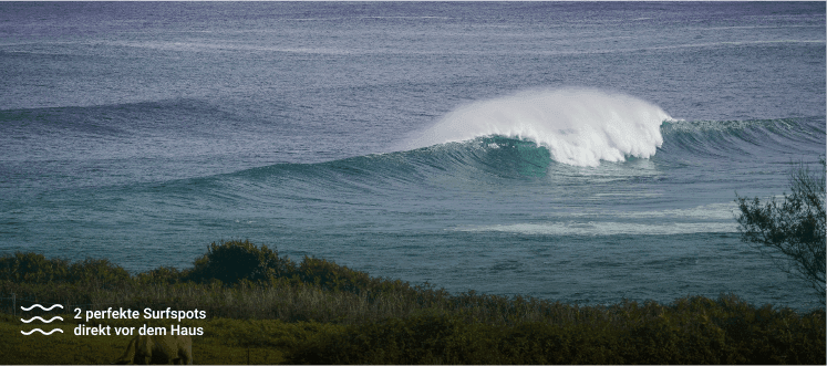 elementsurf Surfcamp - surf instruction