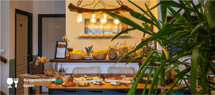 elementsurf Surfcamp - surf instruction