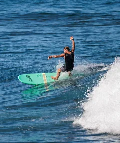 High Voltage Maspalomas Surf - garden surroundings