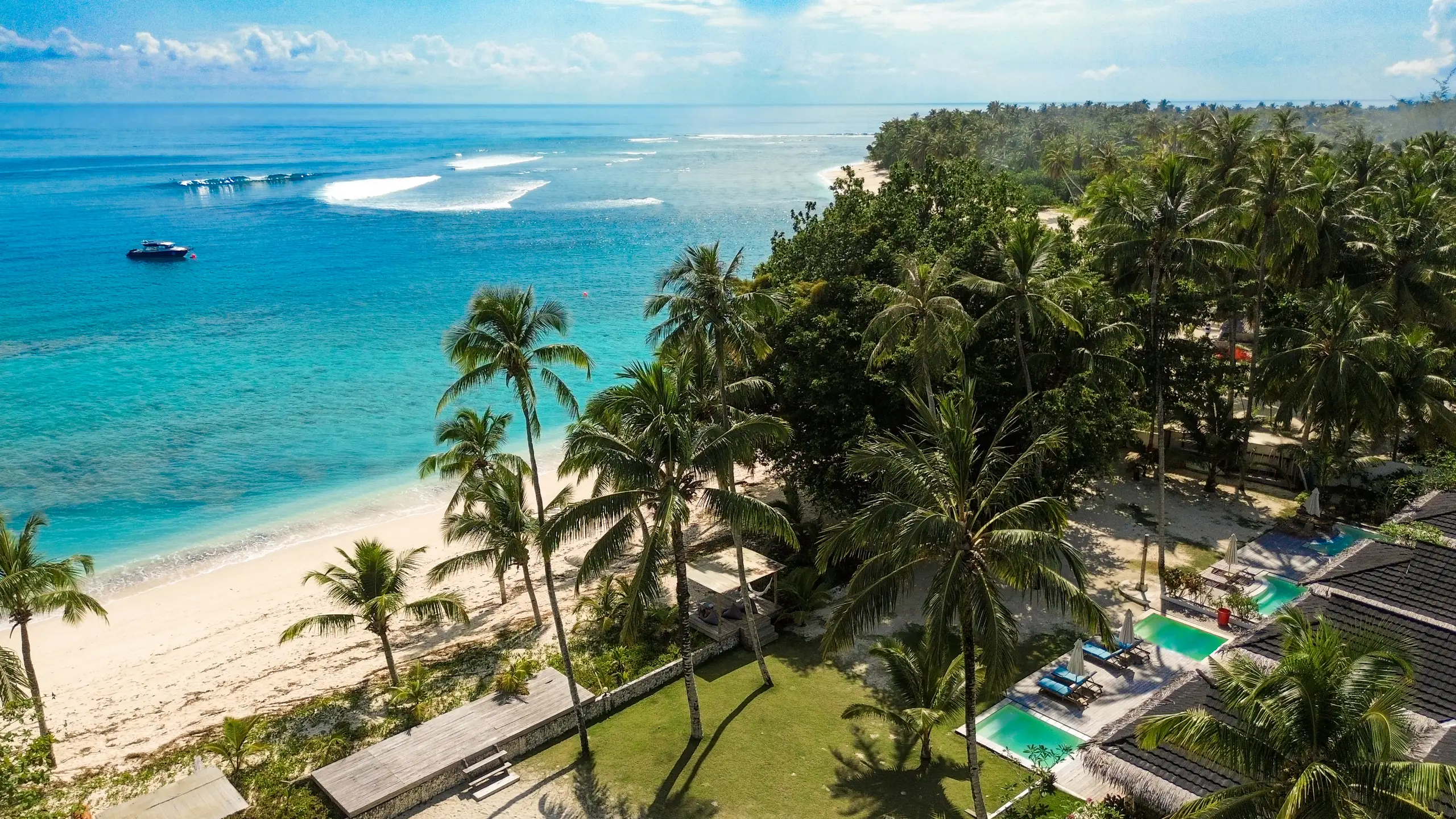 Hollow Tree's Resort