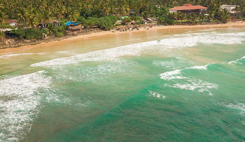 Kima Surf Camp Weligama - surf instruction