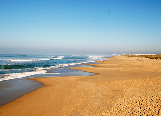 La Luz Surfcamp - beachfront location