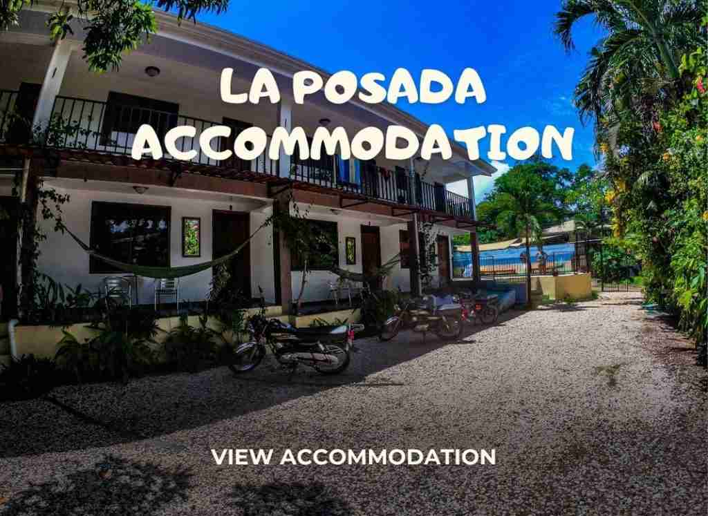 La Posada Hostel - surf instruction