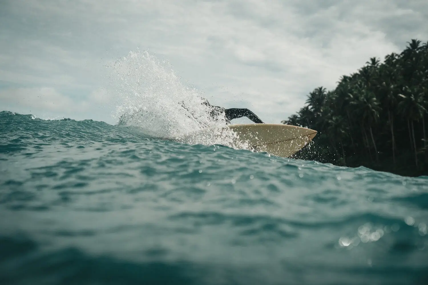 Mentawai Family Surf Camp - guest accommodation