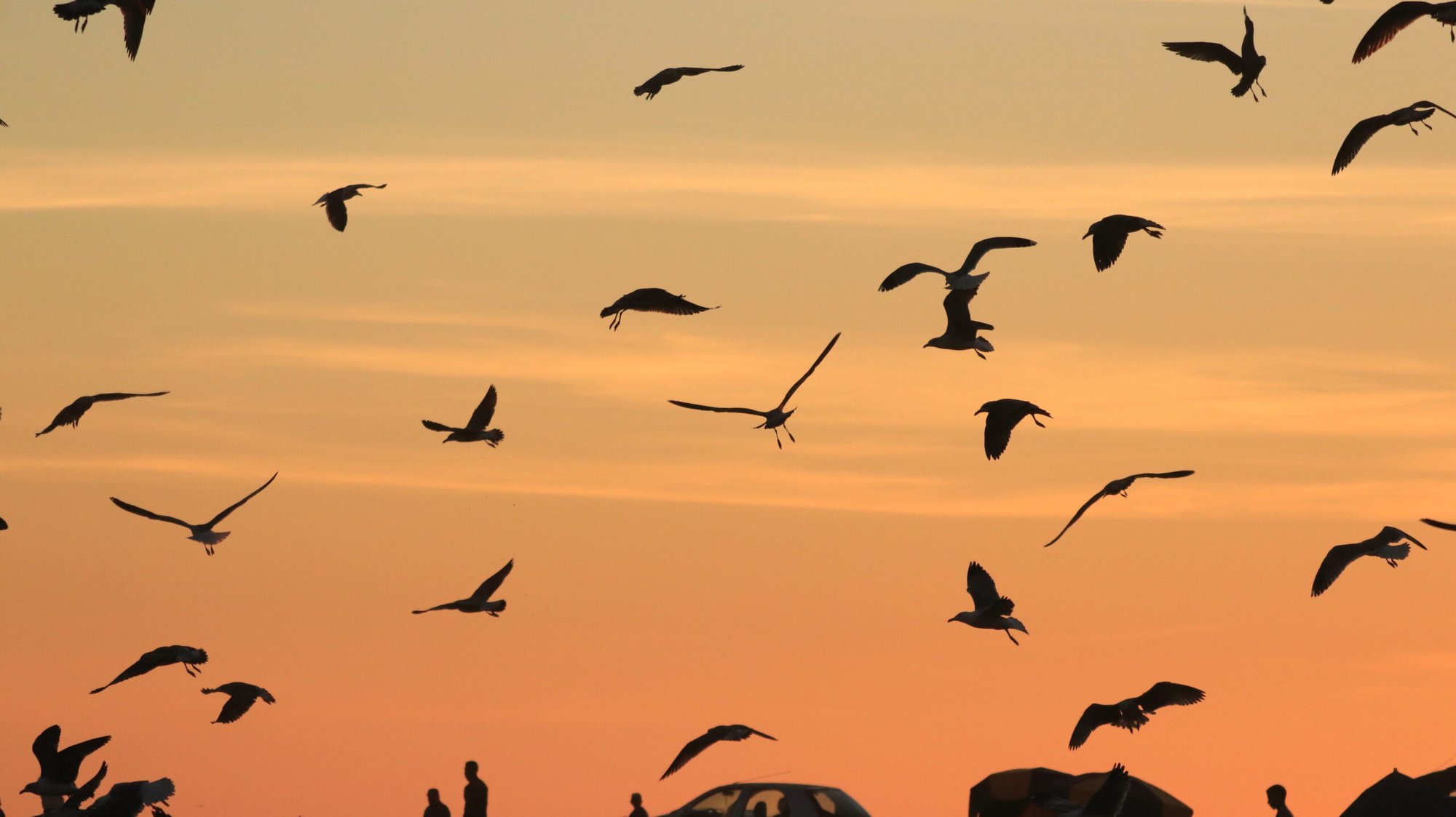 Moana Surf Maroc - surf instruction