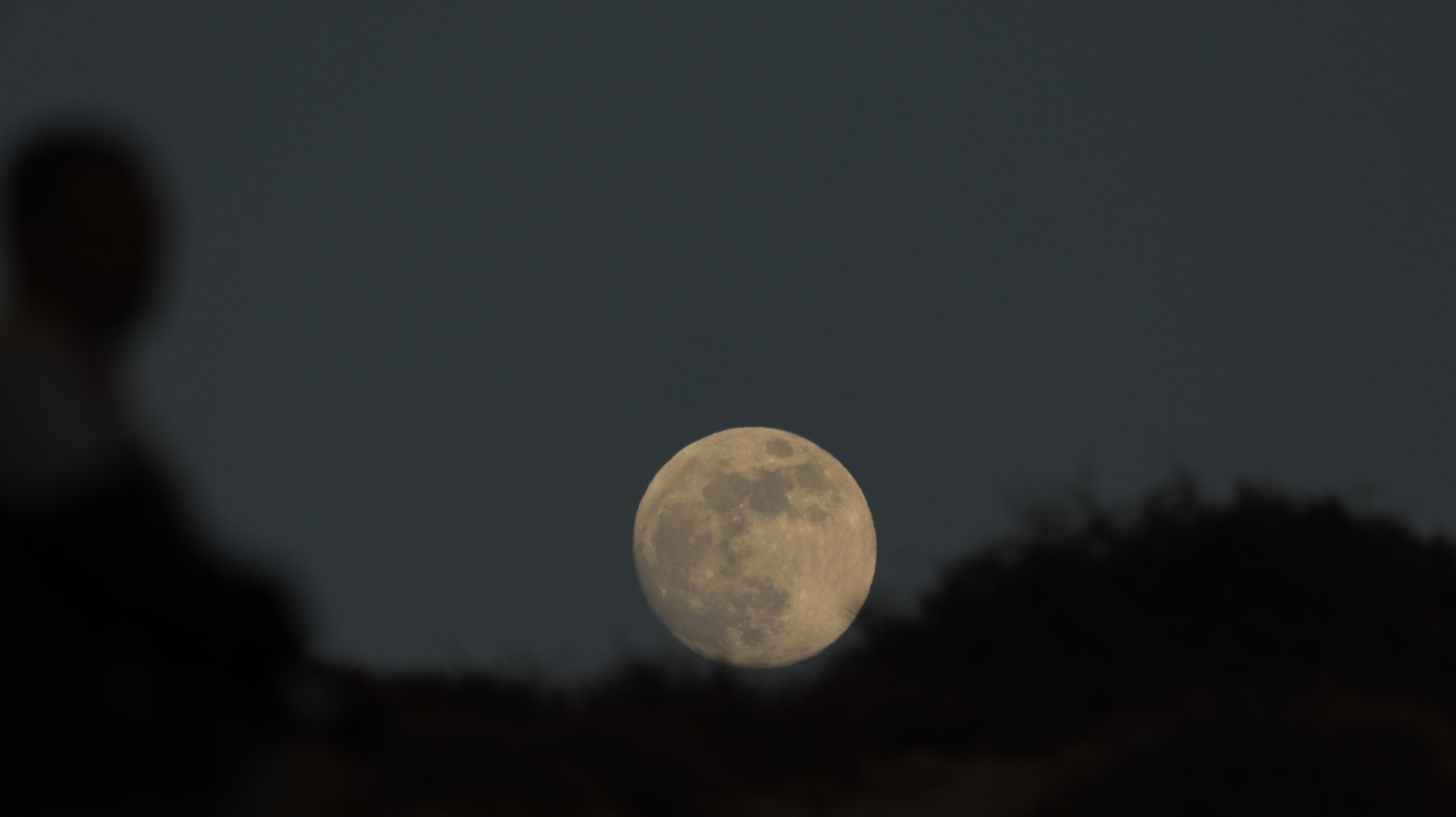 Moana Surf Maroc - surf instruction
