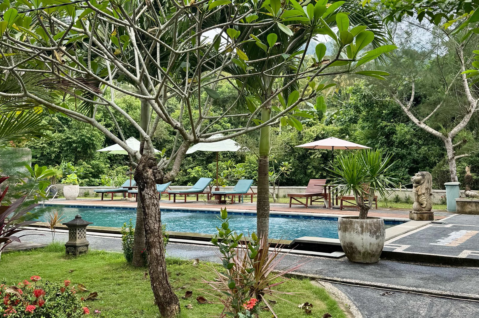 Mojo Surf Camp Red Island