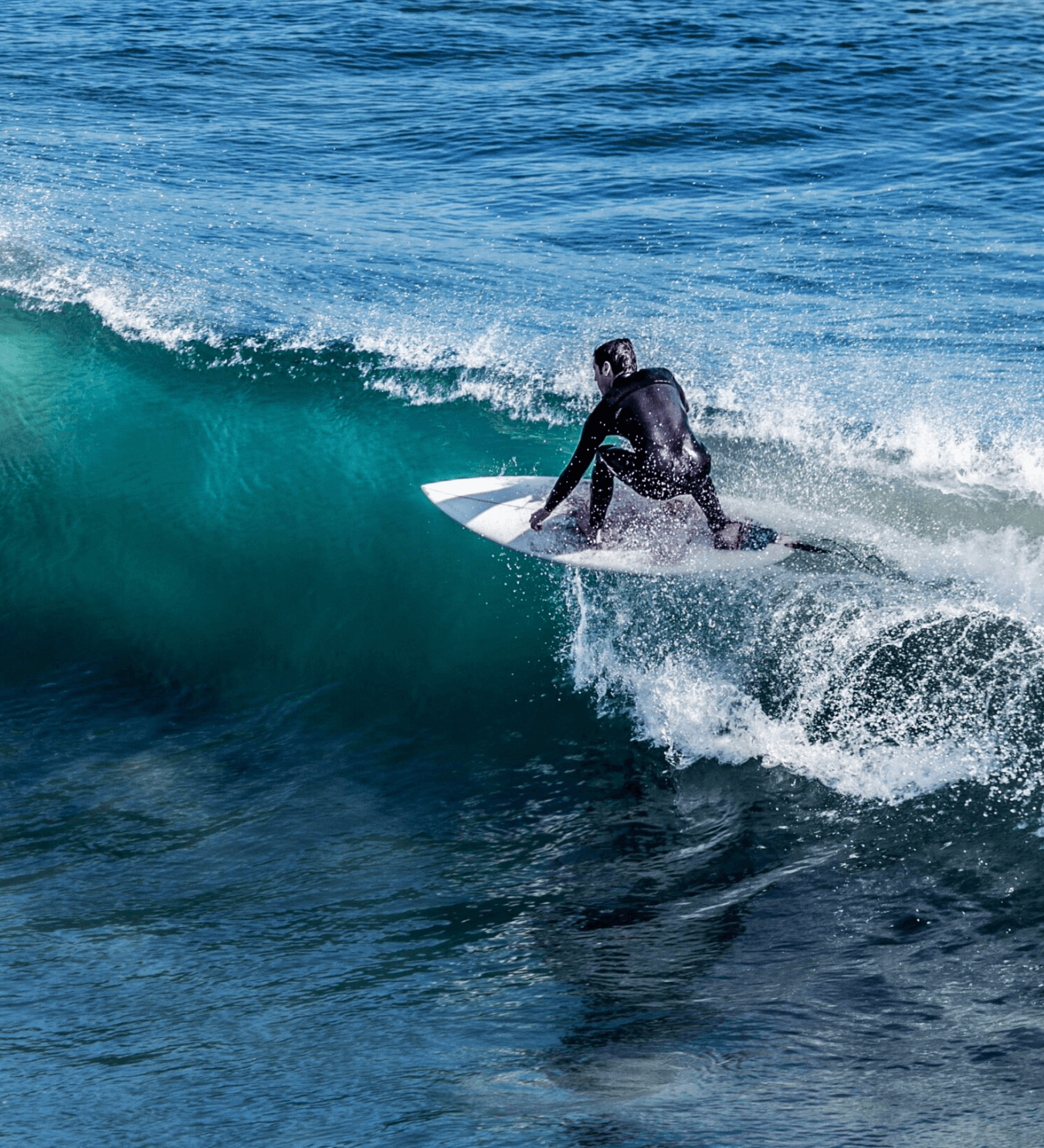 Oceana Surf Camp - surf instruction