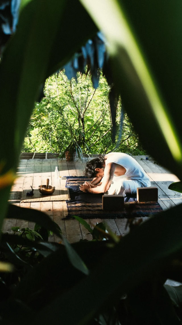 Surf & Yoga, Sri Lanka - surf instruction