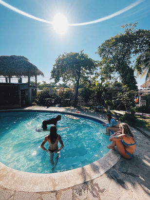 Surfing Your Fears - garden surroundings