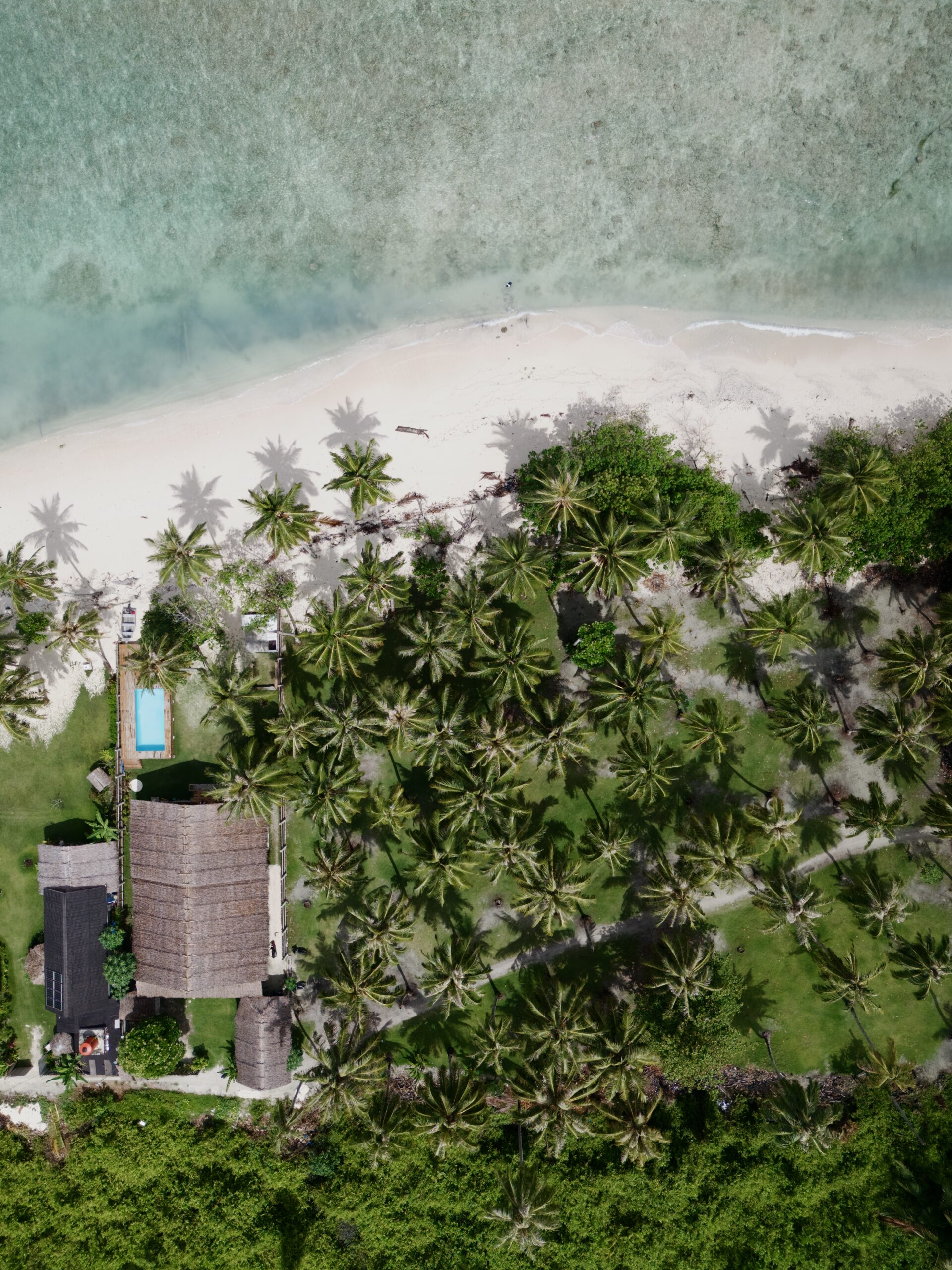 The Point Surf House - surf instruction