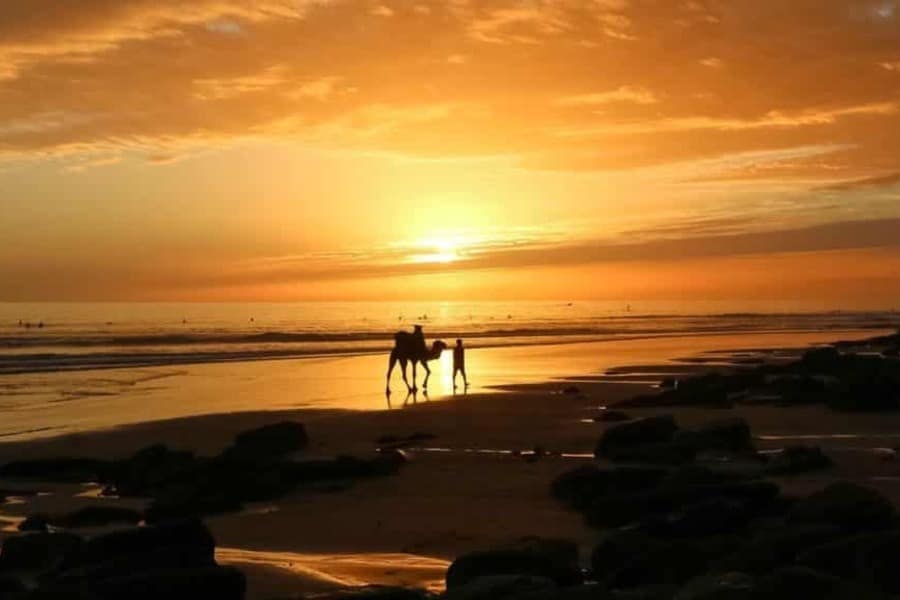 Tiziri Surf Camp Tamraght