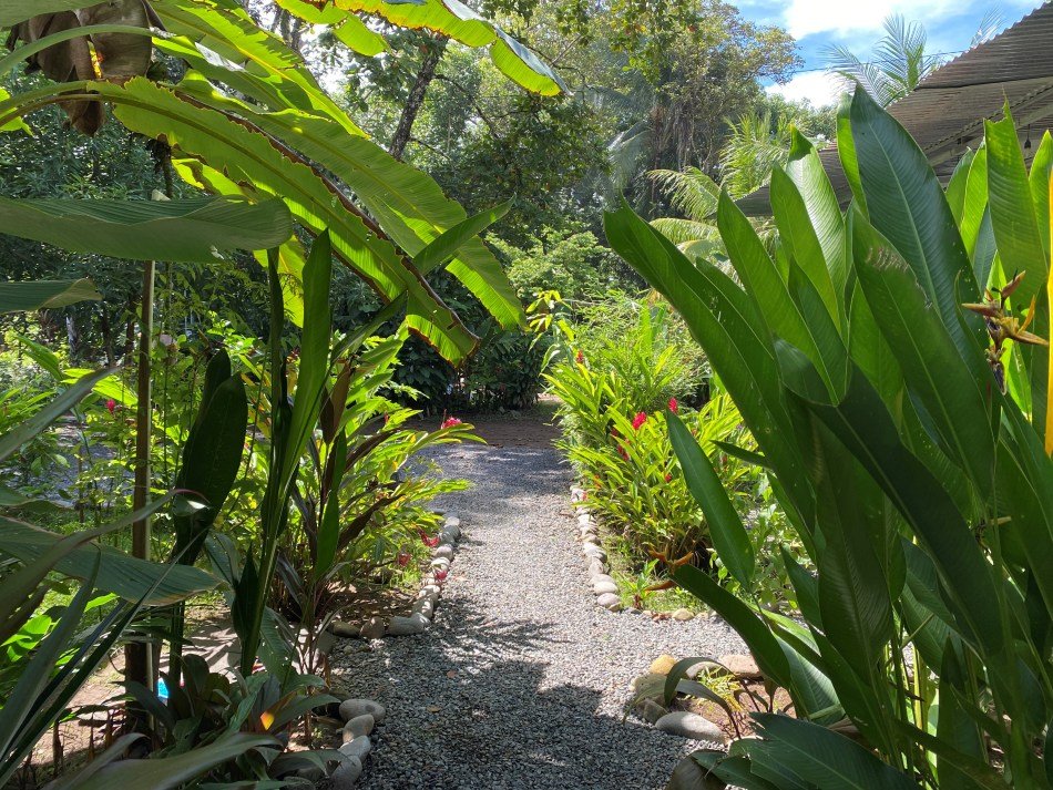 Uvita Surf Camp - surf instruction