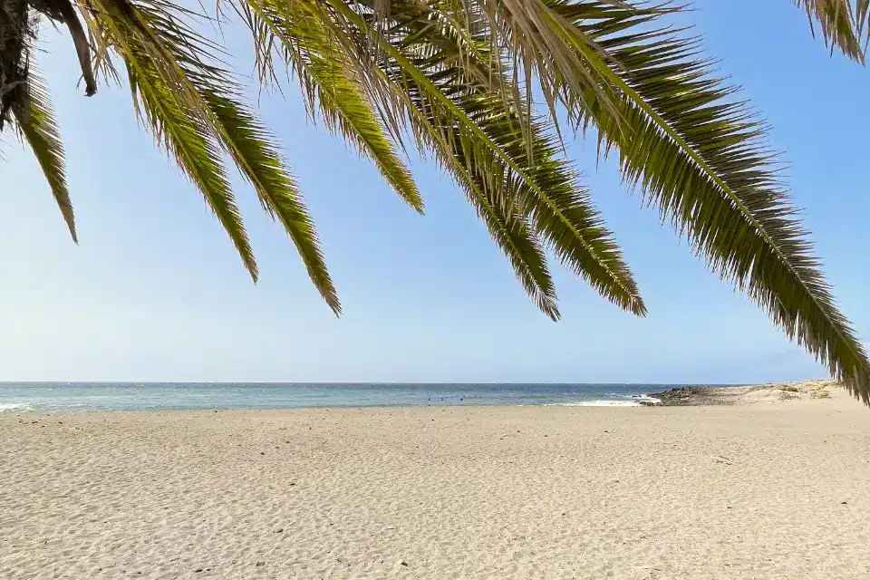 WAVE CULTURE Tenerife Surf Camp