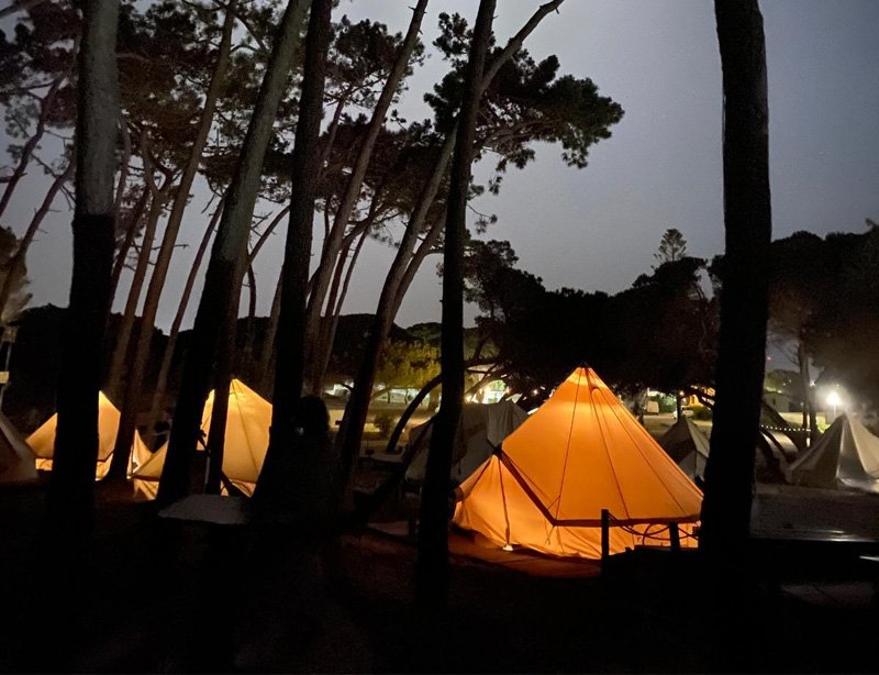 Wavy SurfCamp - surf instruction