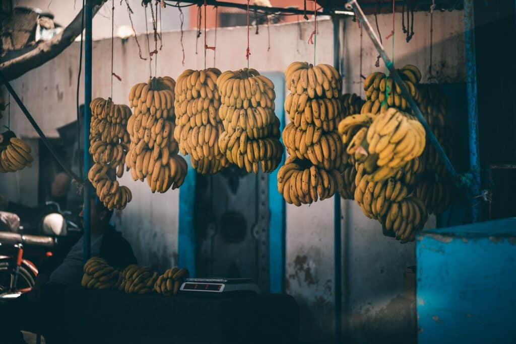 Zen Surf Morocco - Surf Camp Maroc - Yoga - surf instruction