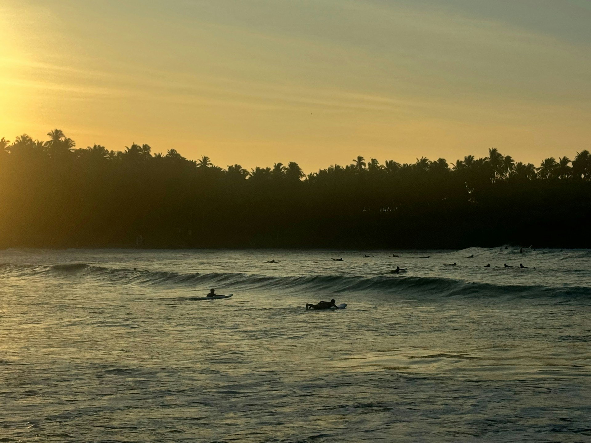 Beginner surfing in Sri Lanka