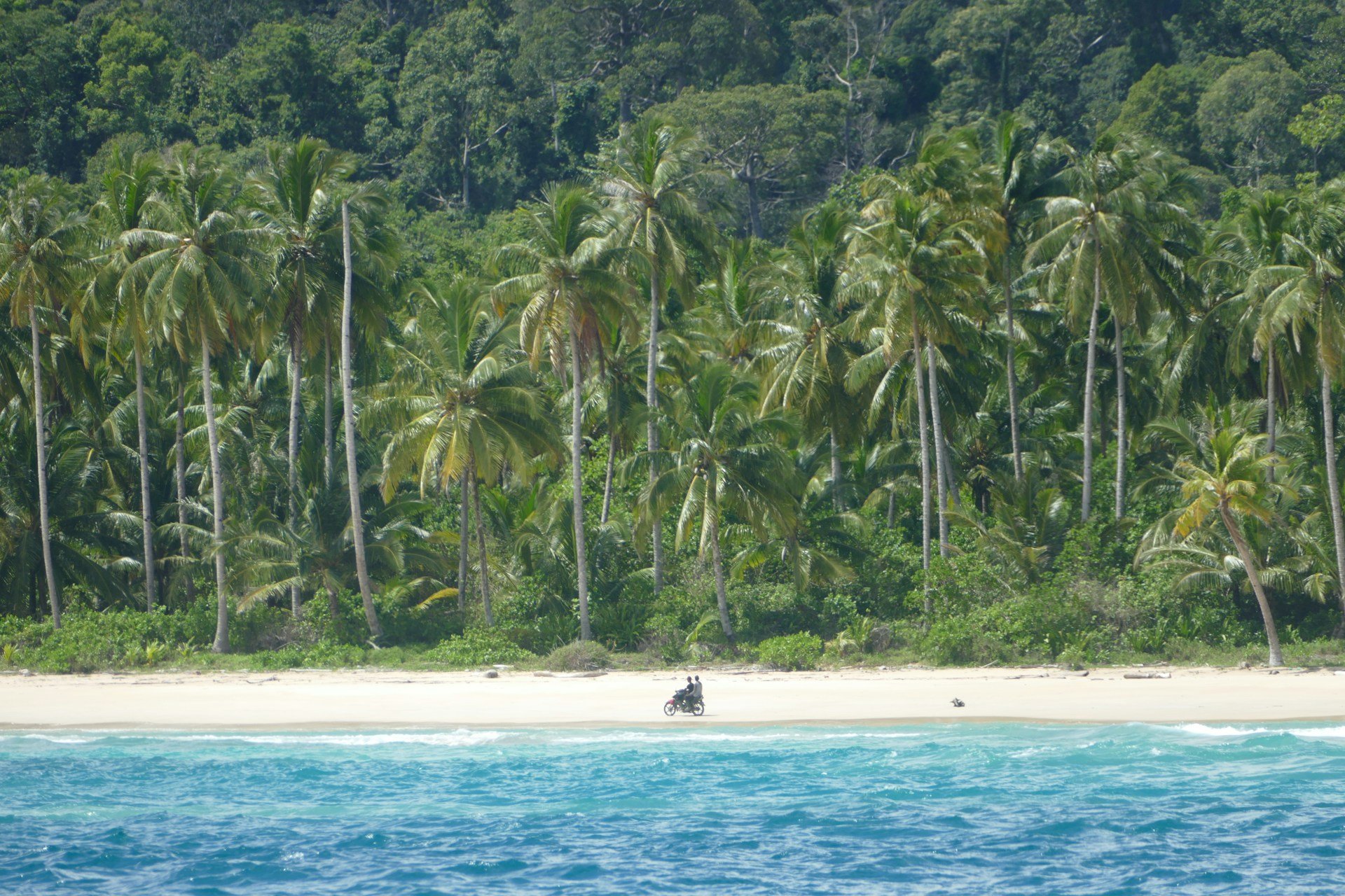 Carving through a perfect Mentawai wave. Photo: Keaton Dickinson