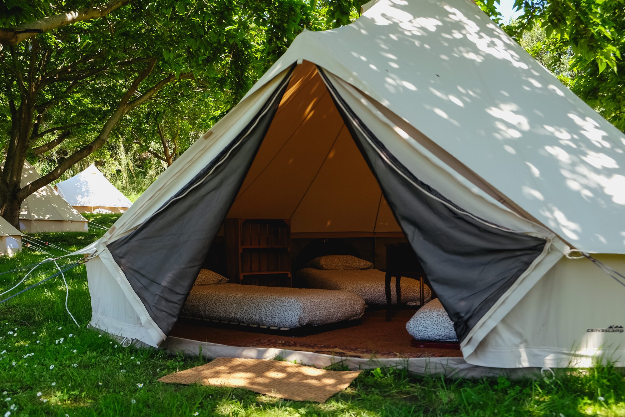 Shared Tent
